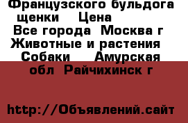 Французского бульдога щенки  › Цена ­ 35 000 - Все города, Москва г. Животные и растения » Собаки   . Амурская обл.,Райчихинск г.